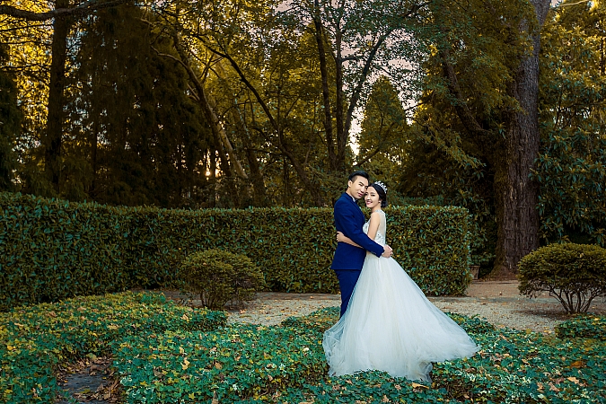 Pre Wedding