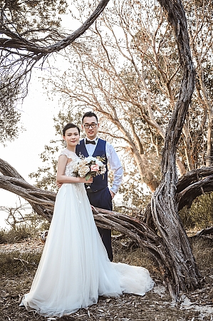 Pre Wedding