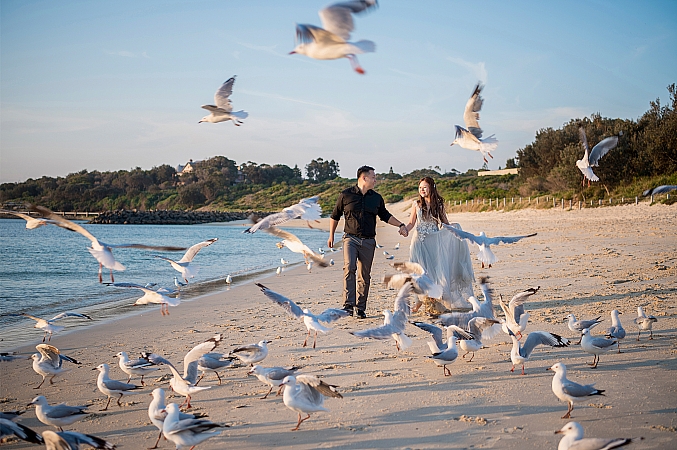 Pre Wedding