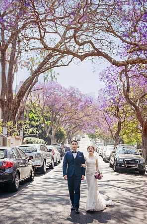 Pre Wedding