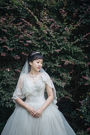Pre Wedding