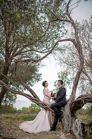 Pre Wedding