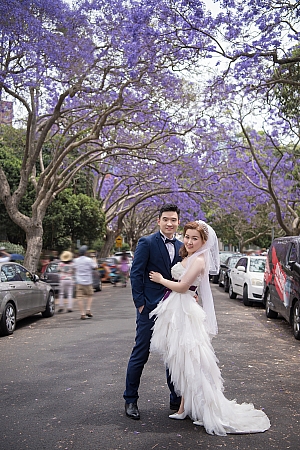 Pre Wedding