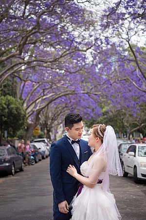 Pre Wedding