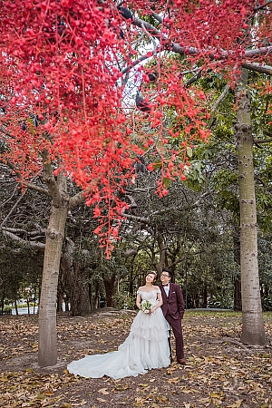 Pre Wedding