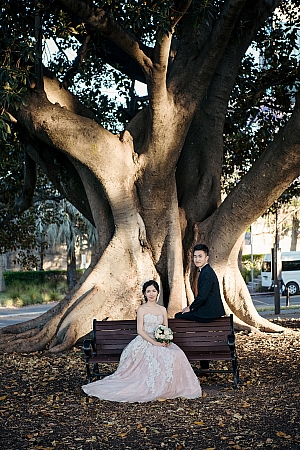 Pre Wedding