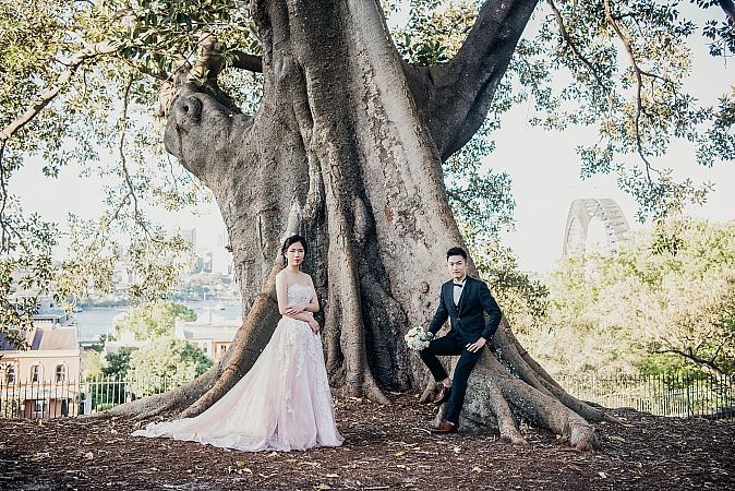 Pre Wedding