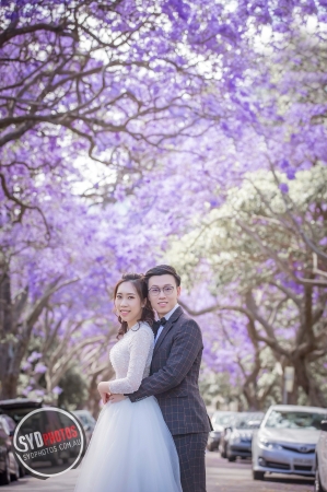 Pre Wedding