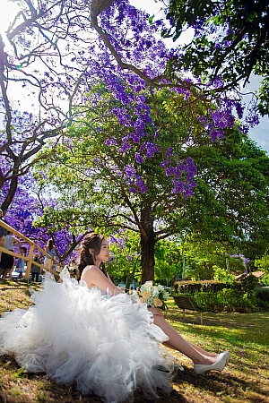 Pre Wedding