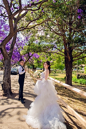 Pre Wedding