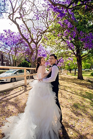 Pre Wedding