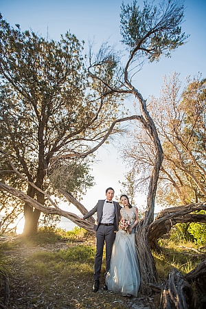 Pre Wedding