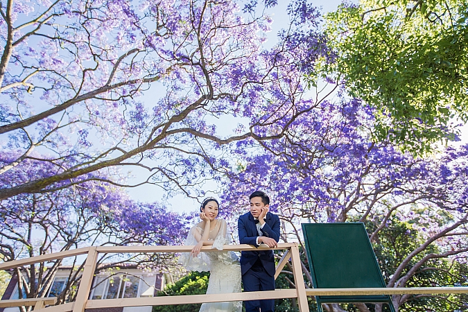 Pre Wedding
