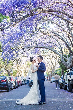 Pre Wedding