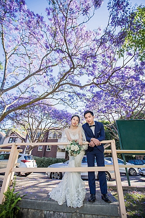 Pre Wedding