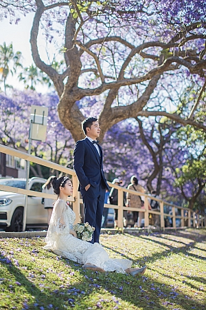 Pre Wedding