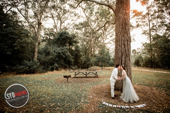Pre Wedding