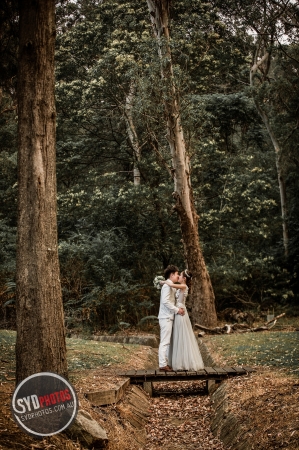 Pre Wedding