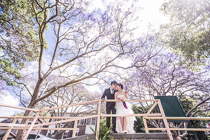 Pre Wedding