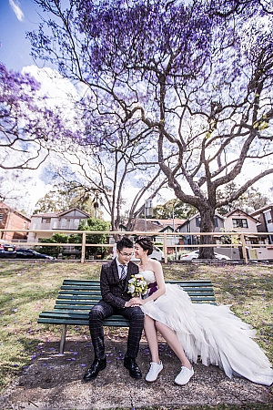 Pre Wedding