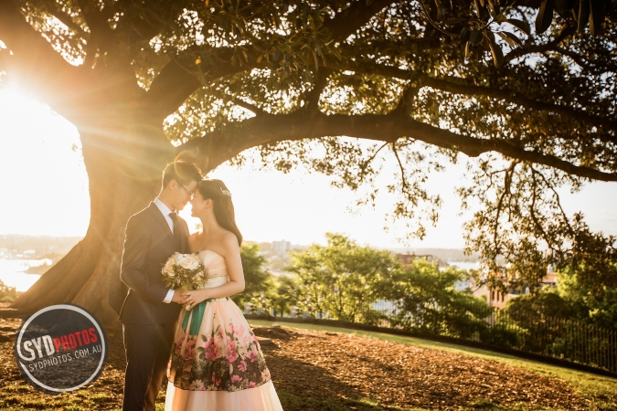 Pre Wedding