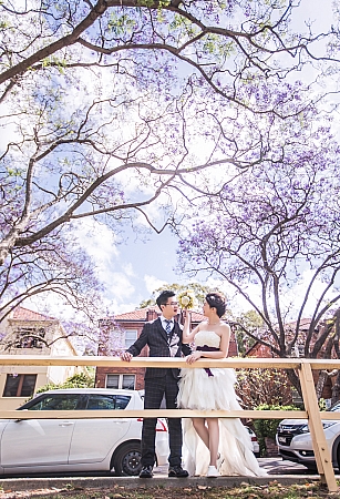 Pre Wedding