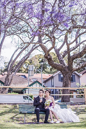 Pre Wedding
