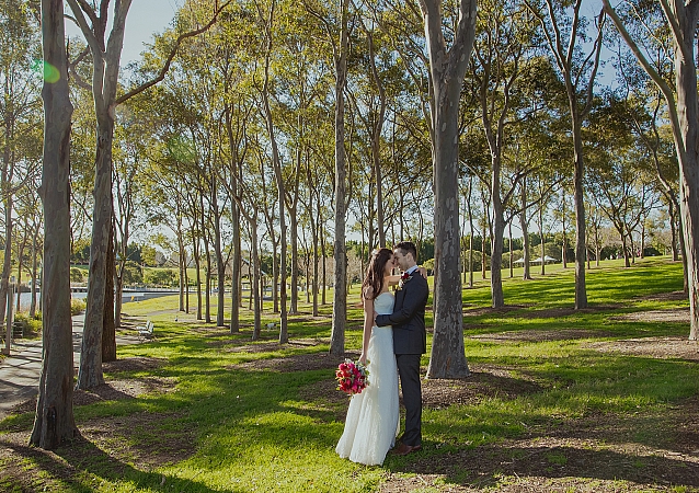 Wedding