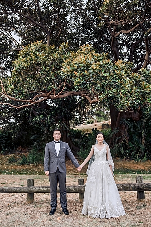 Pre Wedding