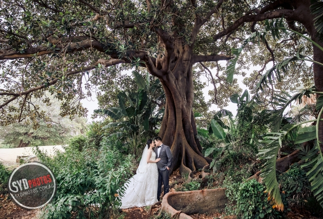 Pre Wedding