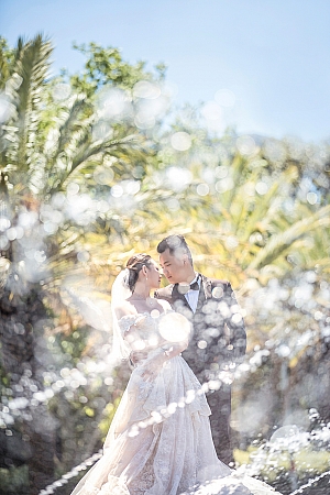 Pre Wedding