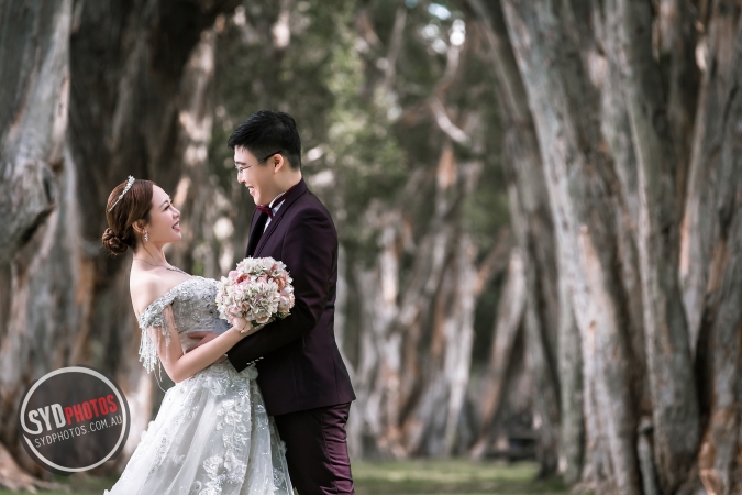 Pre Wedding