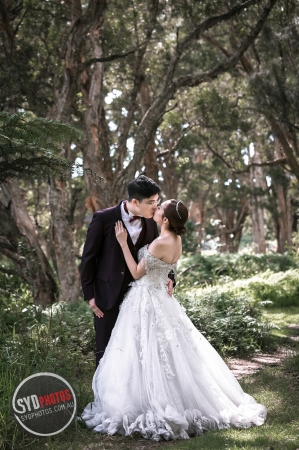 Pre Wedding