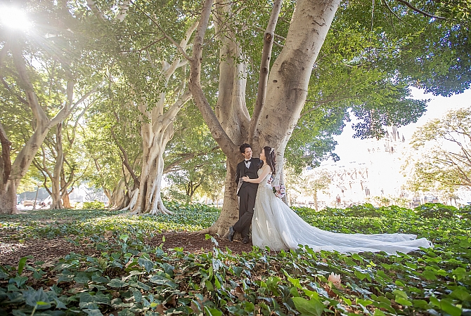 Pre Wedding