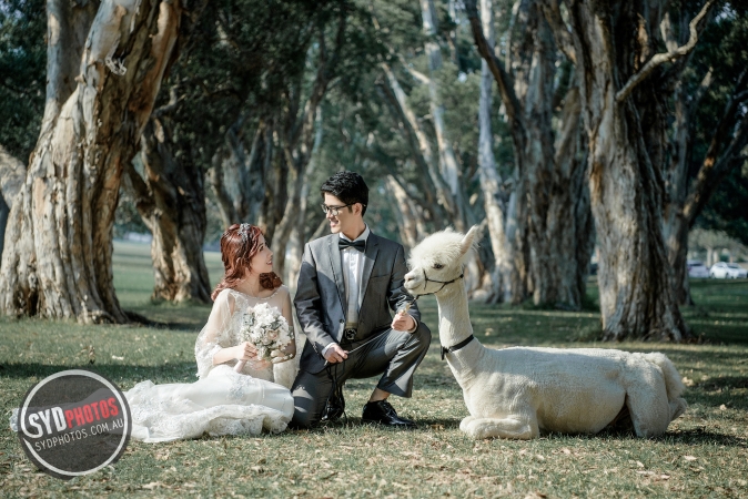 Best Pre Wedding Photography Sydney | Pre Wedding Photoshoot Sydney