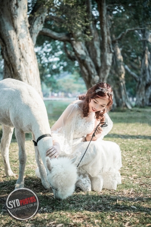 悉尼婚纱照|悉尼婚纱摄影推荐