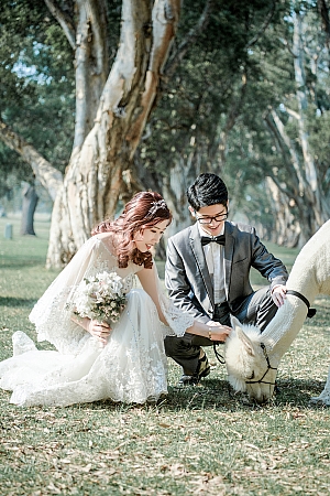 Pre Wedding