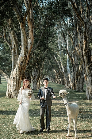 Pre Wedding