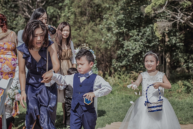 Wedding