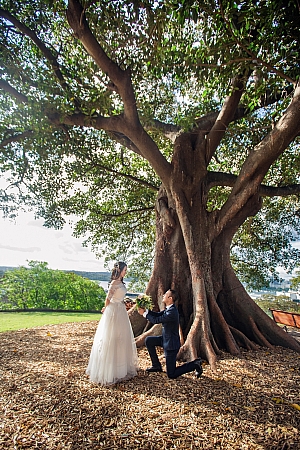 Pre Wedding