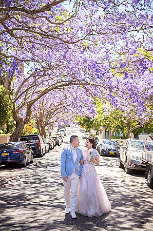 Pre Wedding