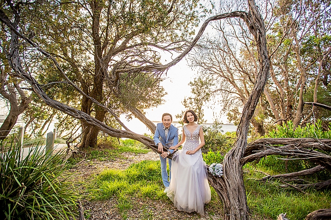 Pre Wedding