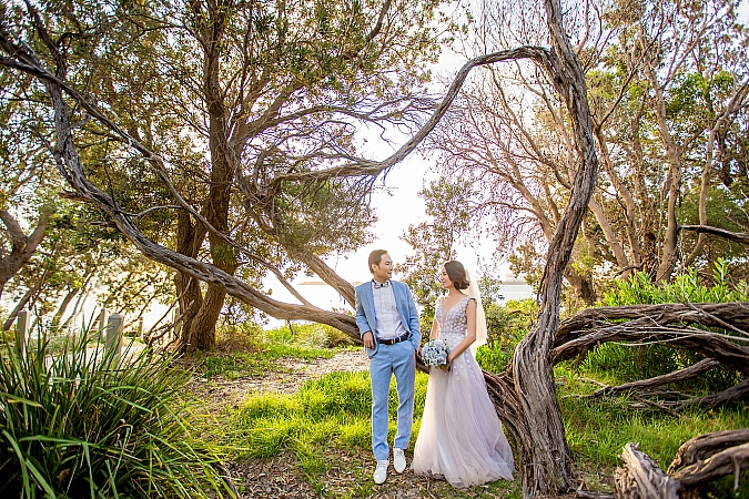 Pre Wedding