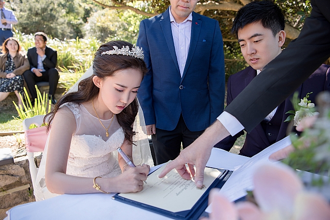 Wedding