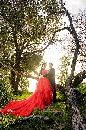 Pre Wedding