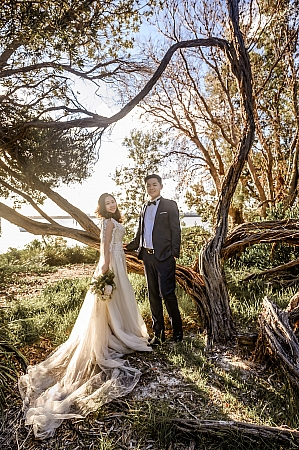 Pre Wedding