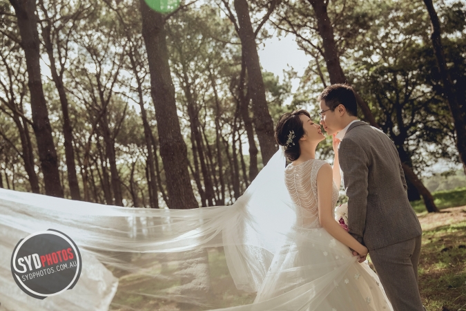 Pre Wedding