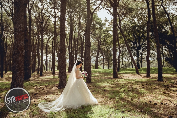 Pre Wedding