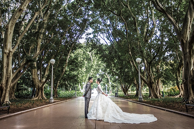 Pre Wedding