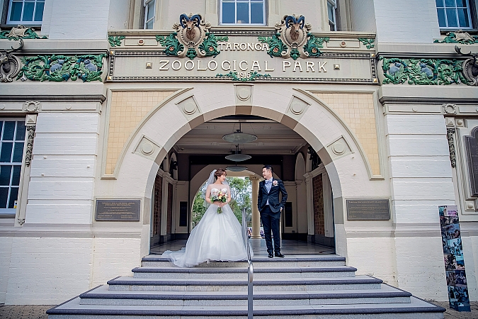 Wedding